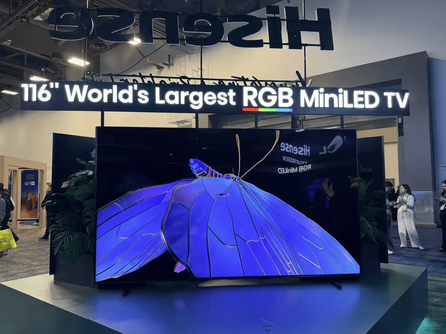 9大方向最火中企霸场机器人全明星乱斗K8凯发暴走2万步逛CES2026：(图25)