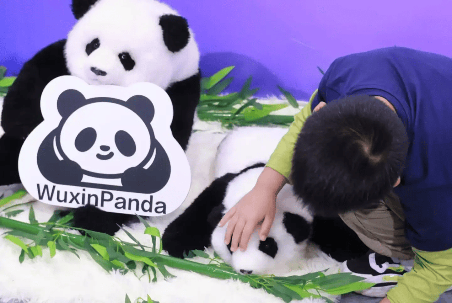 9大方向最火中企霸场机器人全明星乱斗K8凯发暴走2万步逛CES2026：(图51)