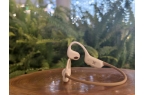 r气传导耳机评测：运动耳机市场的新亮点凯